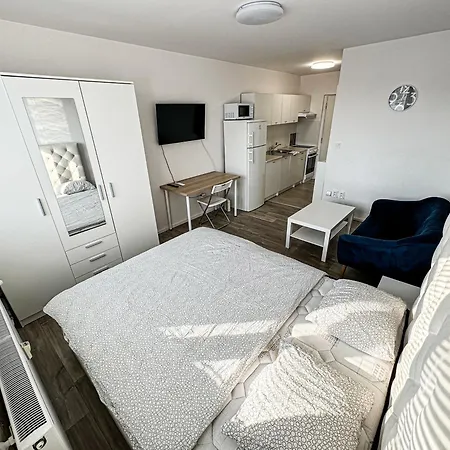 Apartament Elegant Downtown